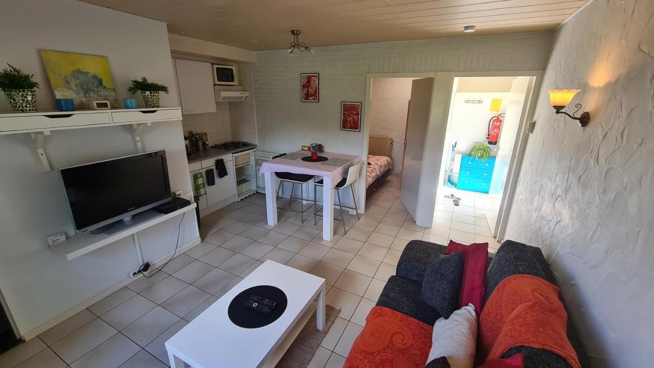 Roos Guesthouse Holiday Appartements Valkenburg aan de Geul Eksteriør billede